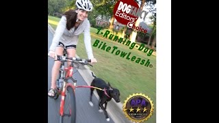 Lucky Dog Gets A Bike Tow Leash