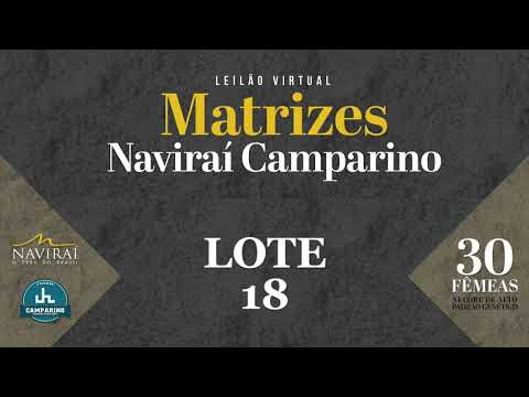 LOTE 18