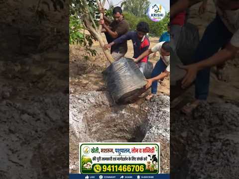 🚨 खेती से कमाई नहीं हो रही यहाँ मिलेगा पूरा हल!  Farming Solution India 🌱