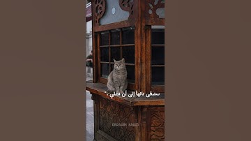 تلاوة رائعة لسورة الاخلاص بصوت القارئ ||إبراهيم سعيد||❤️‍🩹