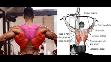 Fitness Gym Workout - best leg exercises_A Simple Exercise Will Reboot Your Brain In 30 Seconds