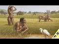 Primitive Human Life | आदिमानव की उत्पत्ति व विकास | Early Human Migration From Africa