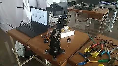 LabVIEW controlled robot arm