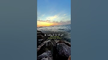 تلاوة هادئة راحة نفسية #اكسبلور #viral #راحة_نفسية #قرآن #دويتو #fypシ゚viral #حالات_واتس #الالهام