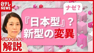 【解説】“ワクチン” 効きづらい可能性も？ 変異ウイルスに新タイプ…『日本型』とも（2021年4月8日放送「news every.」より）