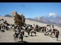 TRAVESIA AVION DE LOS URUGUAYOS ( Cabalgatas al Limite Expediciones Andinas )