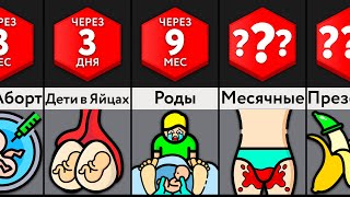 Если Мужчины Забеременеют?