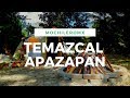 Video de Apazapan