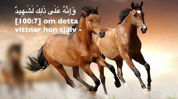 100. Al-'Adiyat (Stridshästarna), Svenska,  Ahmed Al-Nufays,   سورة العاديات