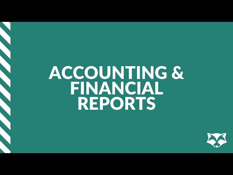 RaccoonTalk | Accounting & Financial Reports