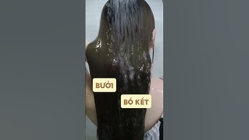 Tạm biệt mái tóc khô xơ, gãy rụng