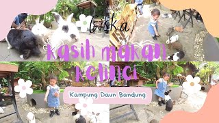 PERTAMA KALI GISKA KASIH MAKAN KELINCI