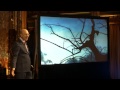 The gift of adversity: Norman Rosenthal at TEDxLowerEastSide