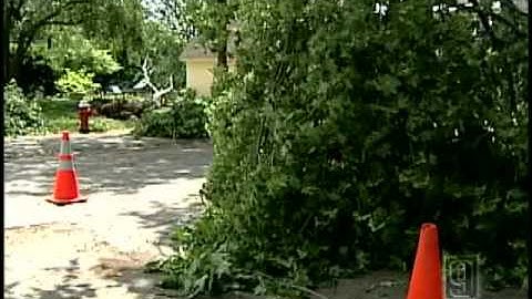 Crews Work To Remove Fallen Trees