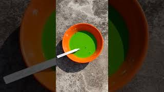 Organic Gulal || How to make colors for holi at home || Homemade gulal || Amisha's World