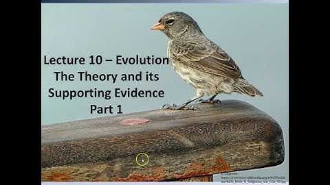 Lecture 10 – Evolution Part 1 (Pt. 1)