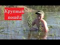 Рыбалка НА ПОПЛАВОК! И ловля РЫБЫ РУКАМИ! РЫБЫ ПОЛНО!!! КРУПНЕЕ пошла!