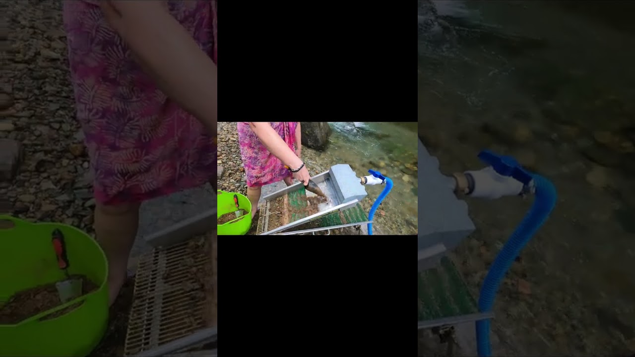 FIJI GOLD everywhere. FULL VIDEO ON YOUTUBE 