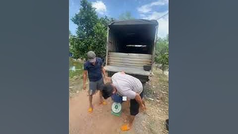 Vlogs 52 Bồi cá - Hồ câu Thái Dương 0933110009 KP Tân Ba, P. Thái Hòa, Tân Uyên, Bình Dương