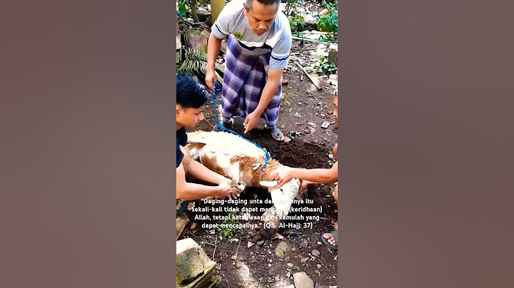 Sambut Idul Adha 2024 #shorts
