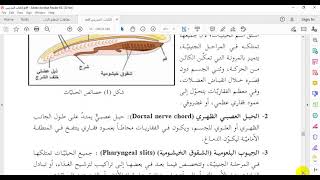 خصائص الحبليات