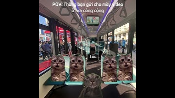 Thằng bạn báo đời :)) (Video idea: @BolueCat ) #shorts #memes