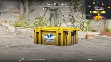 Opening CS2 Case Every Day until a Gold appears | Day 31