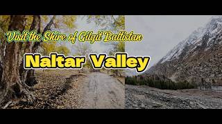 Into The Shire 🏔️ | Naltar Valley 4x4 Adventure | A place from fairy tales and hollywood.