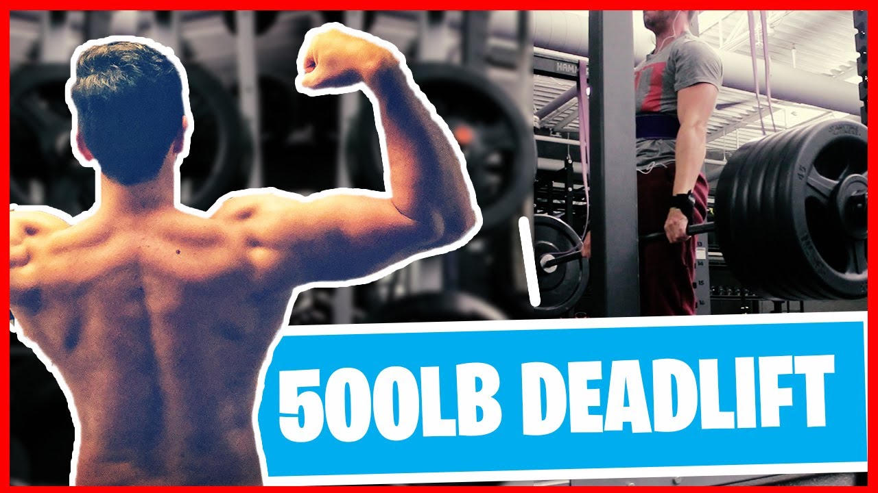 HEAVY BACK DAY 500lbs BANDED DEADLIFT BACK AND BICEPS WORKOUT YouTube