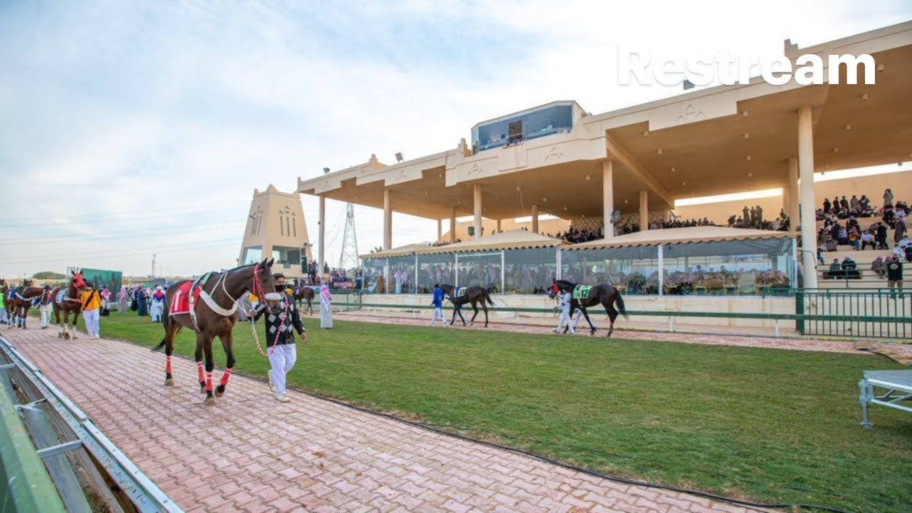 الحفل الحادي عشر لموسم سباقات  1447هـ #ميدان_الملك_سعود #مباشر