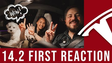 FSD v14.2 - First Reactions