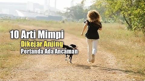 10 Arti Mimpi Dikejar Anjing, Pertanda Ada Ancaman