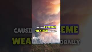 The Return of Super El Niño 2024: Unveiling the Impending Climate Chaos! 🌍😱 #shorts #youtubeshorts