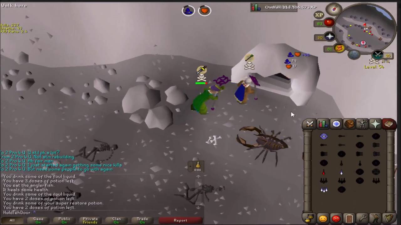 Deep wildy solo pking