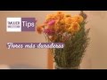 Tips Hogar | Flores más duraderas con este tip | @iMujerHogar