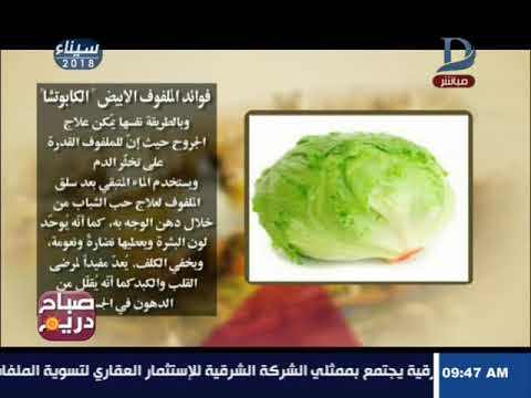 صباح دريم تعرف على فوائد الكابوتشا و اضرار الافراط فى البطيخ