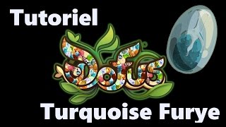 Dofus Turquoise : Tutoriel Furye !