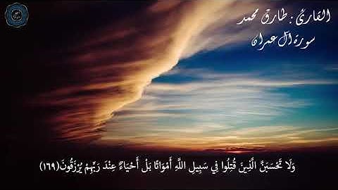 ولا تحسبن الذين قتلوا في سبيل الله امواتا القارئ طارق محمد