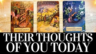 PICK A CARD 🥰🔮 Their THOUGHTS Of YOU Today 🔮🥰 What Is On Their Mind? ❤️ Love Tarot Reading Soulmate