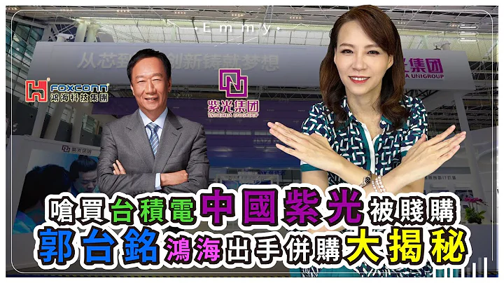 曾狂言呛买台积电联发科，中国紫光集团被郭台铭刘扬伟贱价收购？独家详解鸿海半导体电动车全球布局，富士康工业富联背后的纠葛利益！半导体争霸战21｜中国仆街23 - 天天要闻