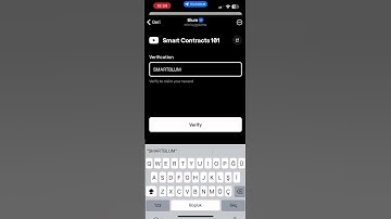 Smart Contracts 101  BLUM CODE