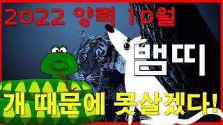 2022 양력 10월 뱀띠운세 돈은 도는 것 같은데. 누가 개좀 잡아줘! 제 때문에 못살겠어 ㅜㅜ / 재물 …