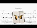 Ignorance【Paramore】动态鼓谱