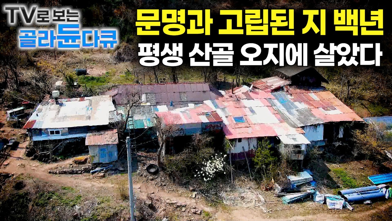 🪵평생 산골을 떠난 적이 없는 보기 드문 자연인 가족. 백년동안 같은 자리 지키는 가족🪵｜산골에서 잘 해먹는 산골 사람들｜산골의 맛 1시간 몰아보기｜한국기행｜#tv로보는골라듄다큐