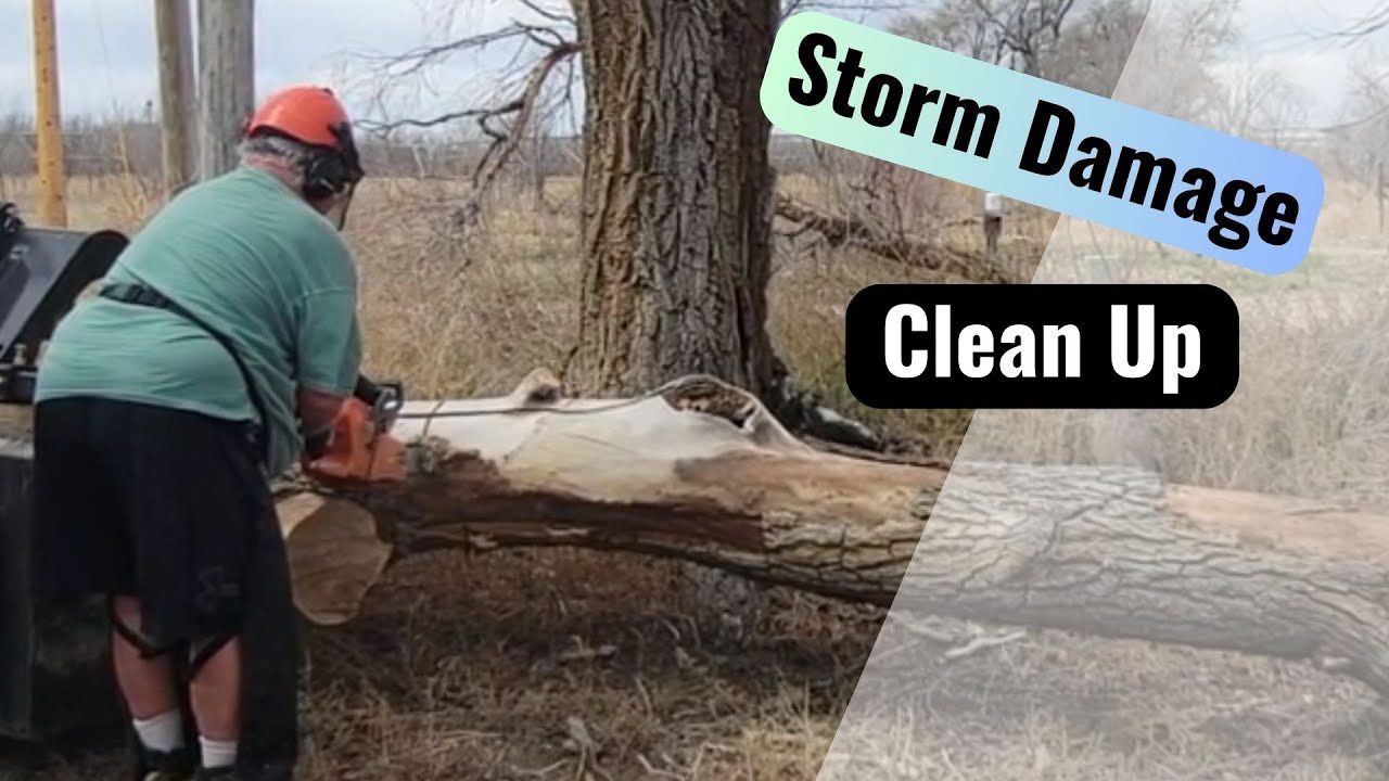 After Storm Tree Cleanup - YouTube