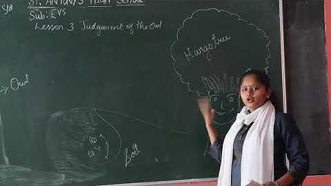 III Std EVS Video 01 Judgement of the Owl