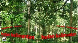 SUARA HUTAN KALIMANTAN SUARA ALAM INDONESIA