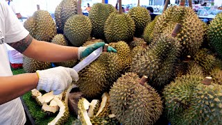 Premium Durian to Jackfruit! Thai’s Special Tropical Fruits | Thailand street food