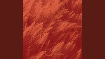 Luxurious Backdrops for Steam Baths