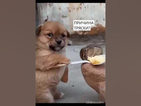 Причина тряски? - YouTube